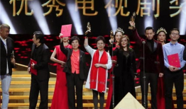 电视剧奖项有哪些,盘点电视剧界的璀璨奖项