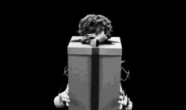 日本吃瓜爆料是真的吗,真相还是谣言？