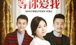 等你电视剧,跨越时空的浪漫邂逅
